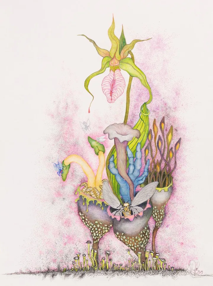 INFUSION de SORCIÈRE, artwork by Guylaine Duval