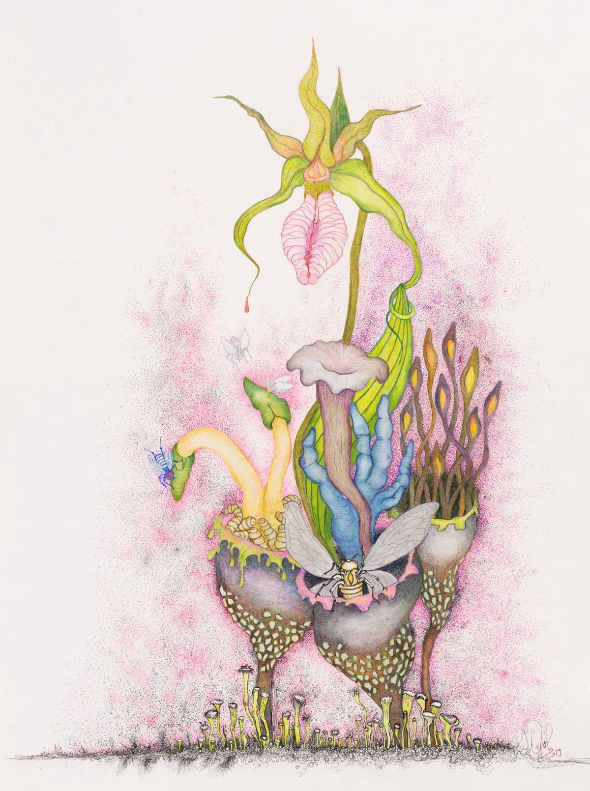 INFUSION de SORCIÈRE, artwork by Guylaine Duval