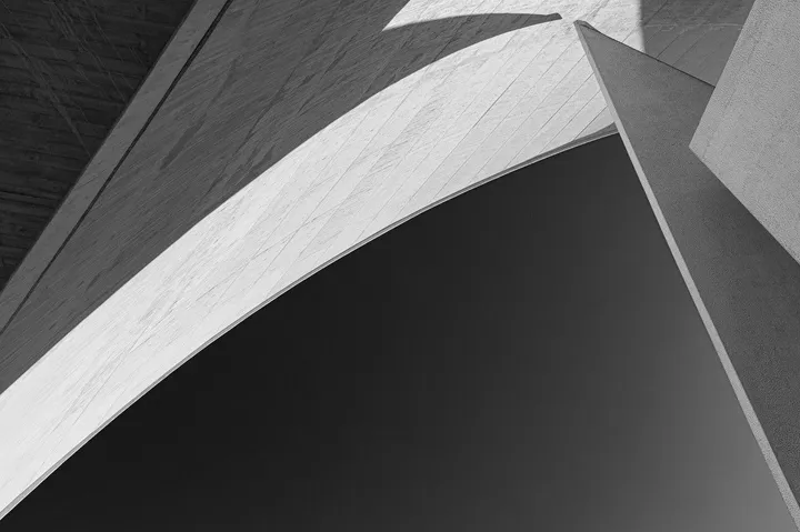 Fins 2, artwork by Dancho Atanasov