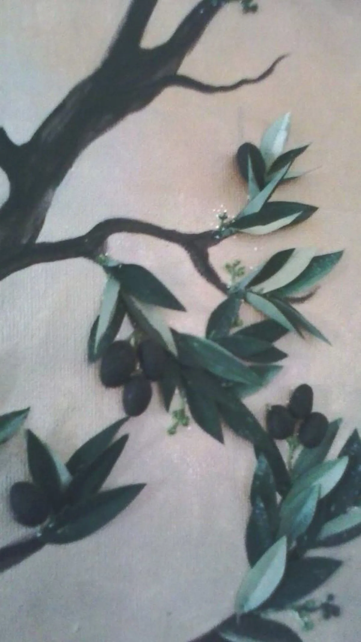 Olive tree, artwork by Nour el Houda HASSEN