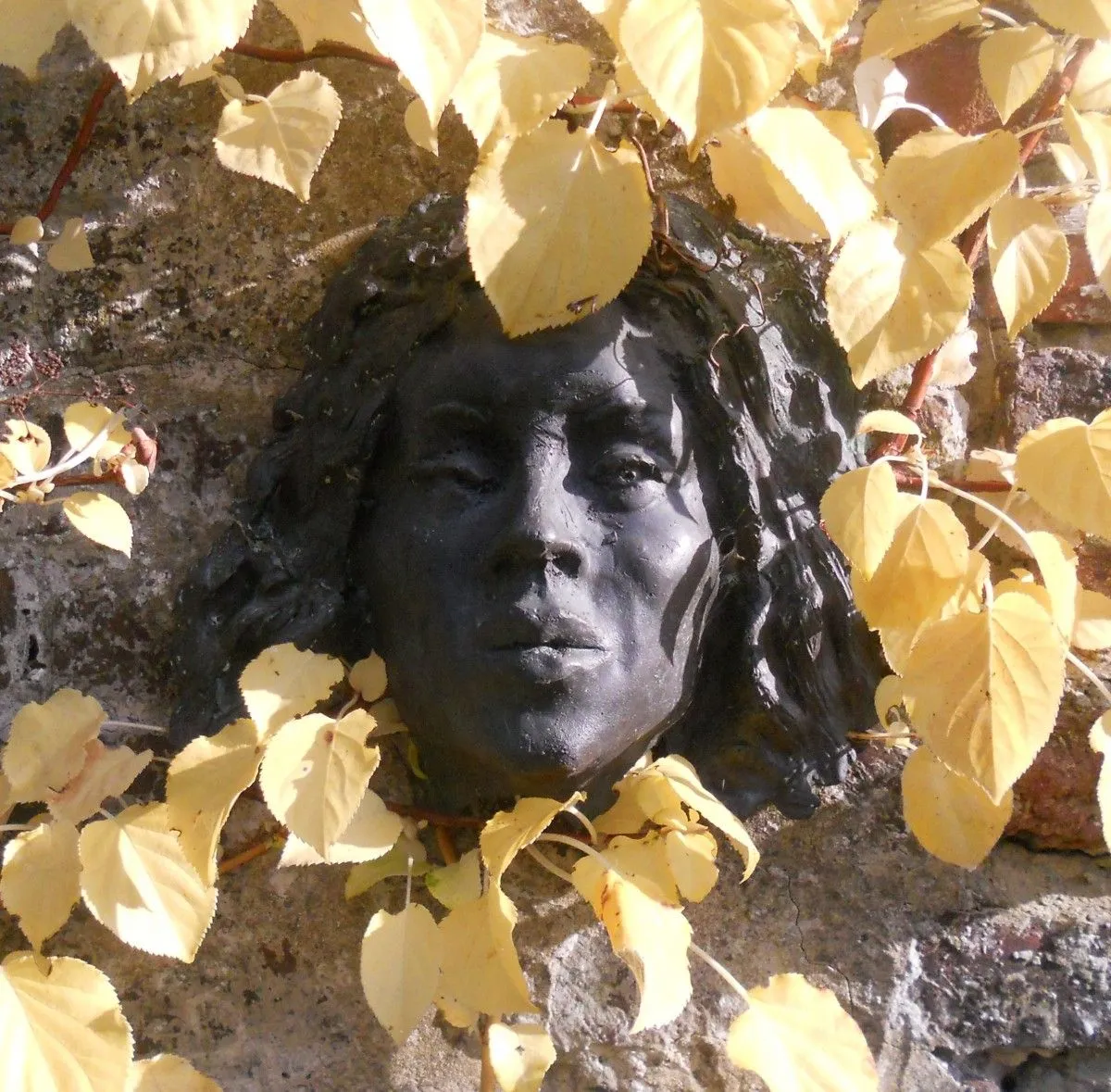 VISAGE, œuvre de Claude HARDENNE
