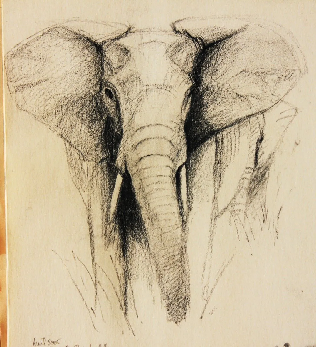 ELEPHANT FEMELLE - COW ELEPHANT, œuvre de Jean Bessat