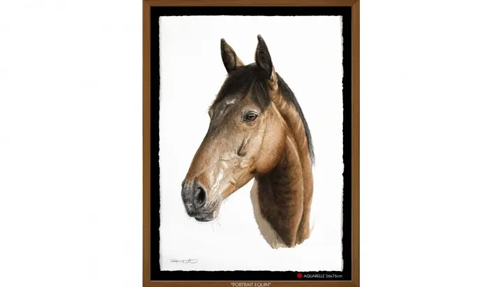 "PORTRAIT EQUIN", œuvre de Pierre Frutschi