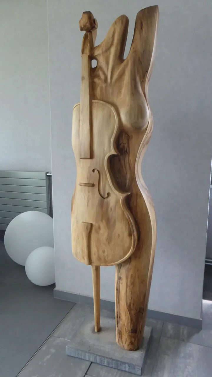 BIRTH OF A CELLO, œuvre de Jan Van Braekel