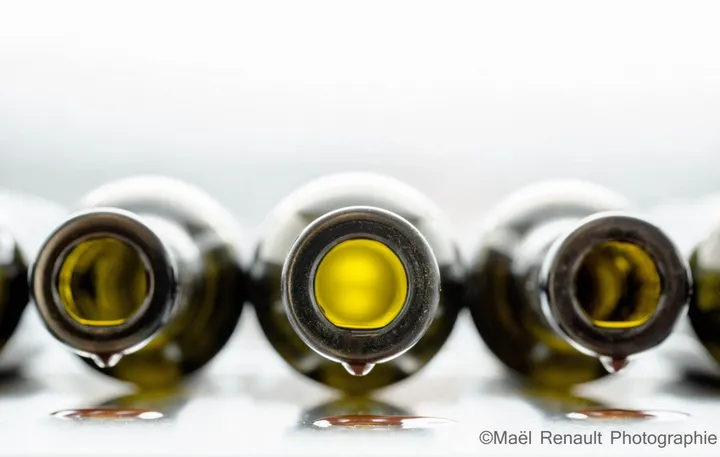 the last drop of wine, œuvre de Maël Renault