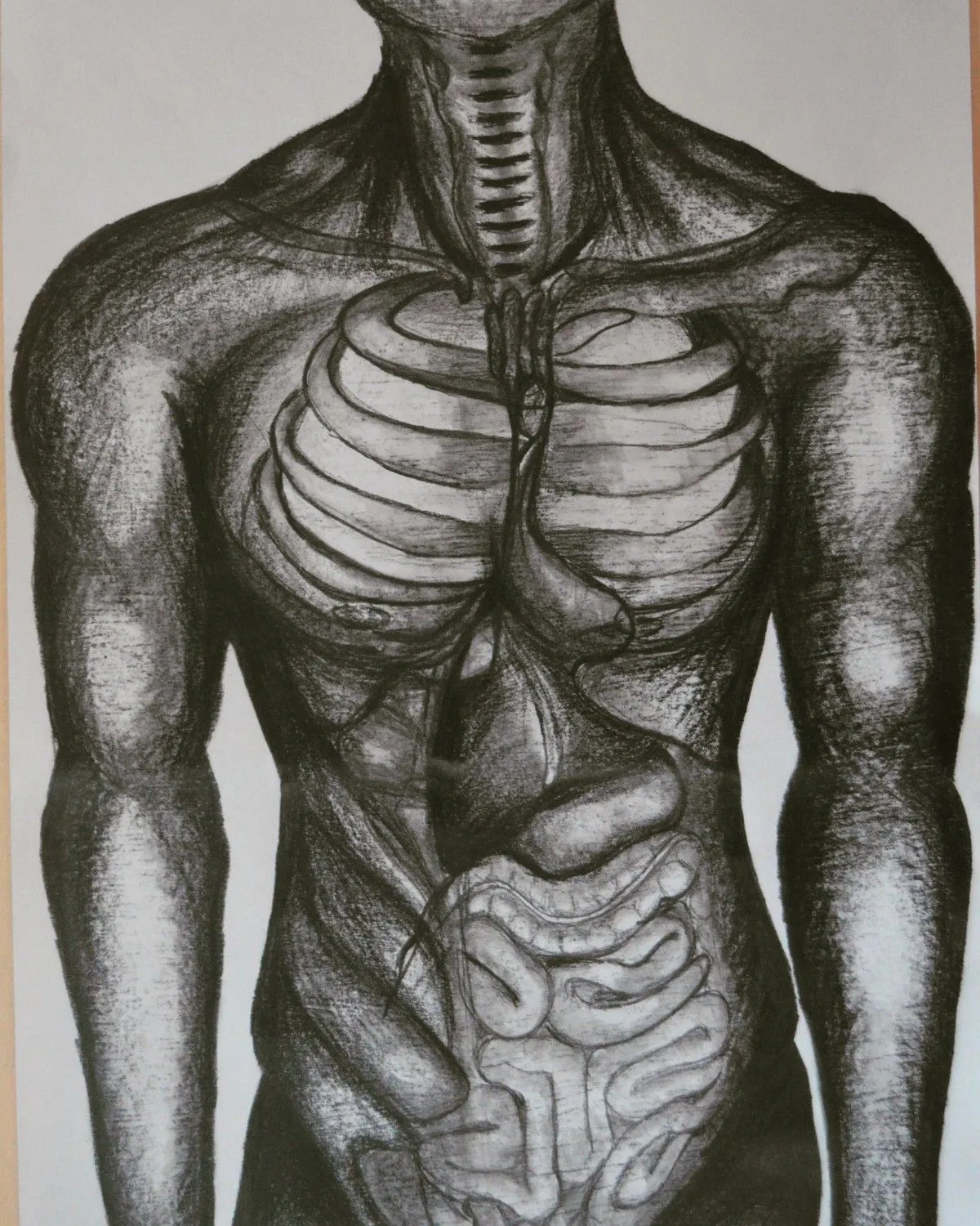 "Organic Body", artwork by Vicky Sa De