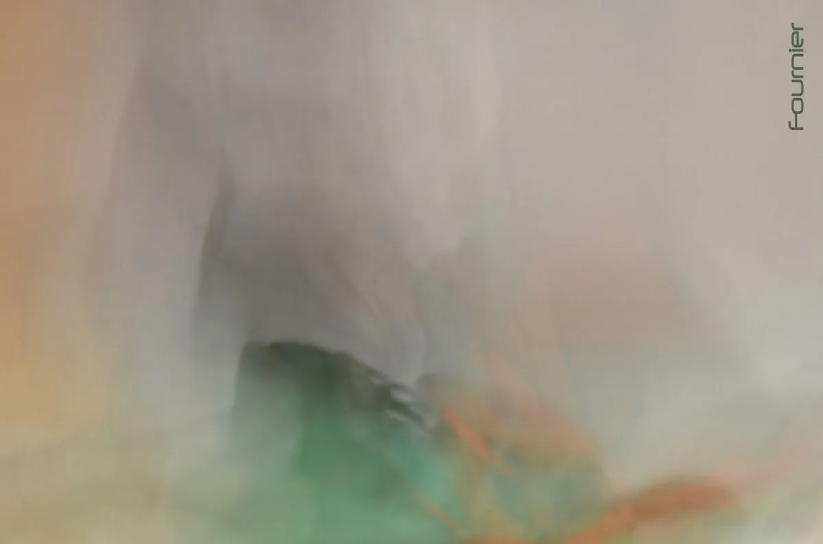 Titre à venir..., œuvre de Brigitte Fournier