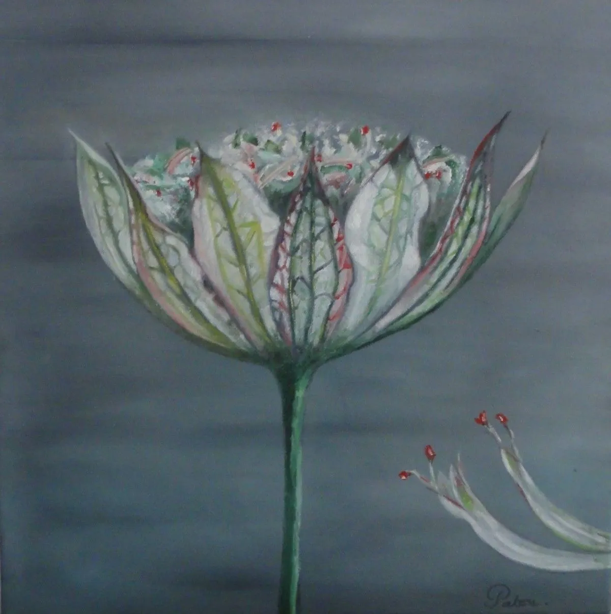 La Fleur du pré, artwork by PATRICIA MARTINEZ DE CHADOIS