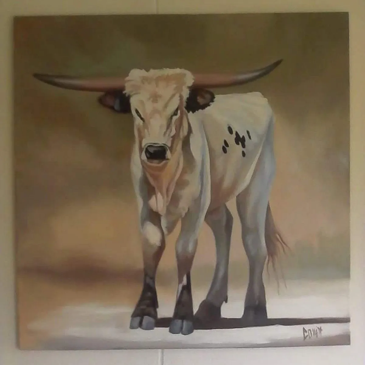 Longhorn, œuvre de Collett Louw