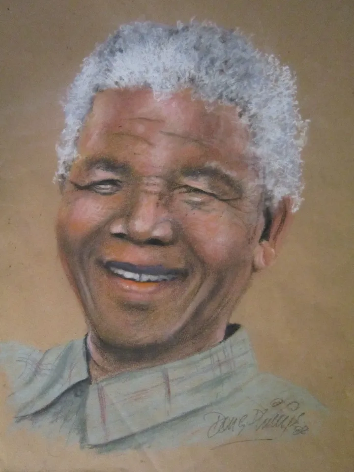 Nelson "Madiba", artwork by doug phillips