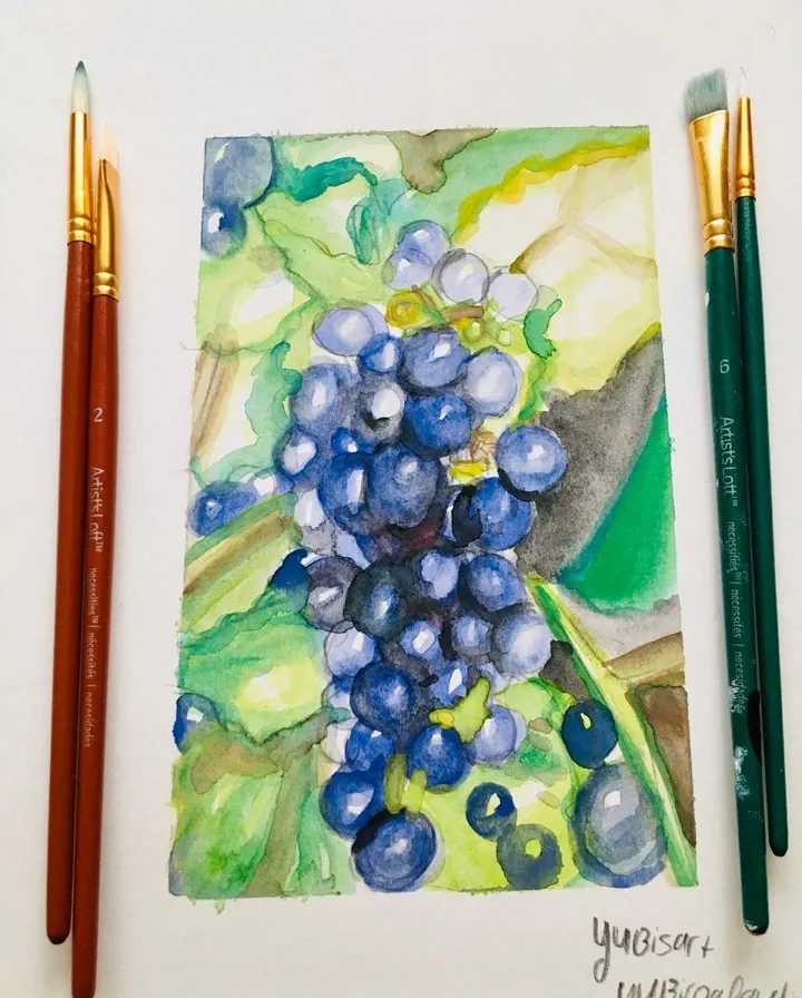 watercolor grapefruit, œuvre de yubirna paulino