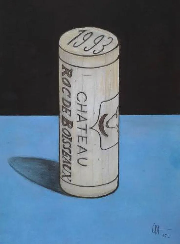 Portrait de bouchon - Roc, œuvre de Pixtabxl Station