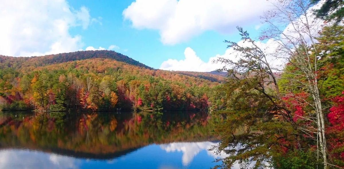 Unicoi, artwork by Greg Sandoval