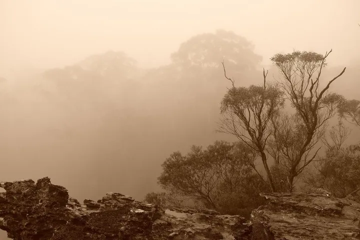 Misty Morning, œuvre de Greg Sandoval