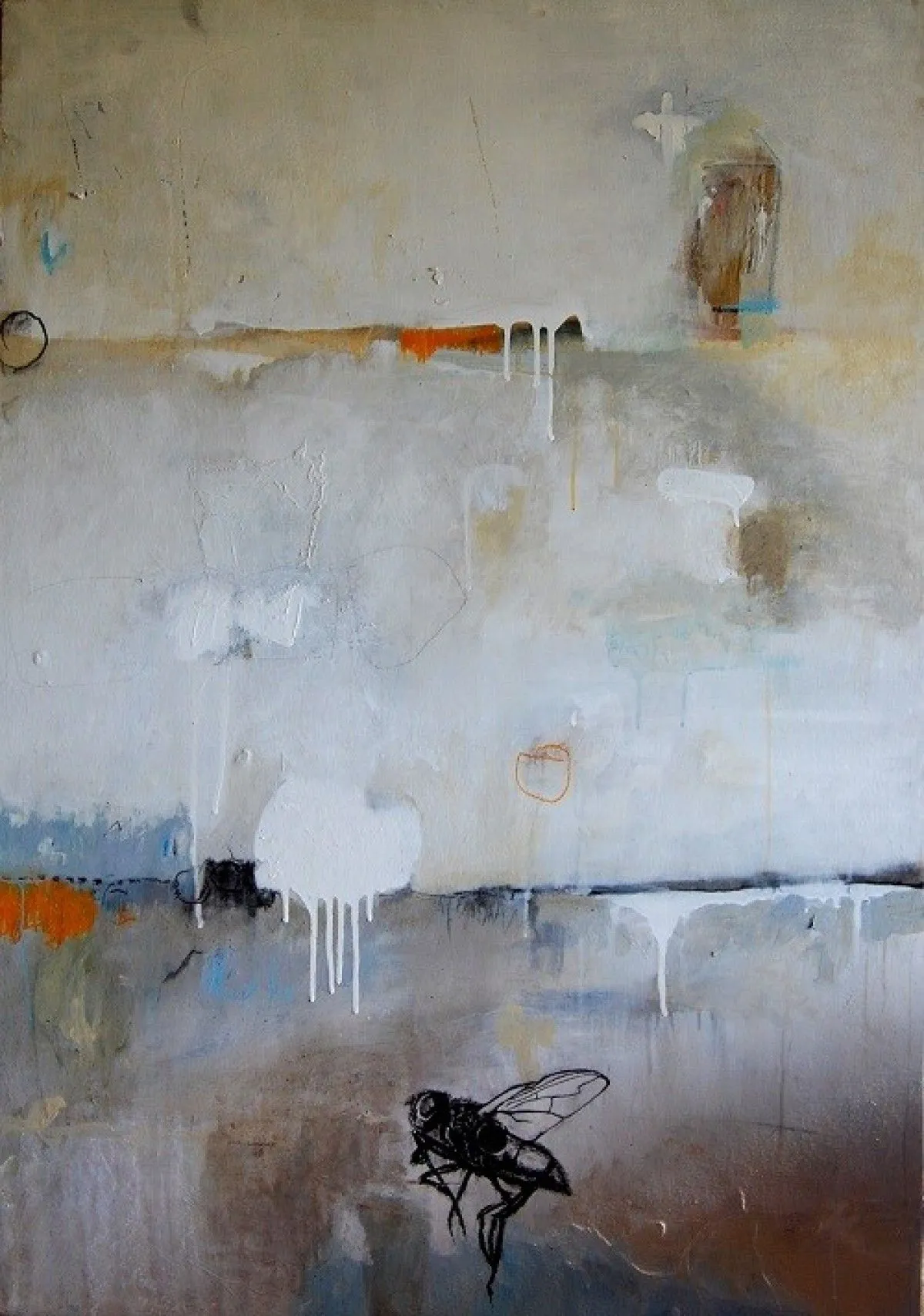 fly, artwork by laurence courbot
