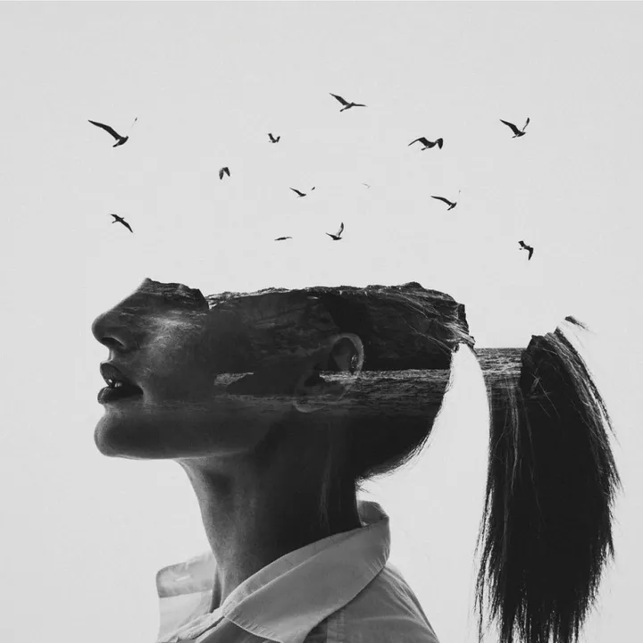 Imagination, artwork by Albane Martin