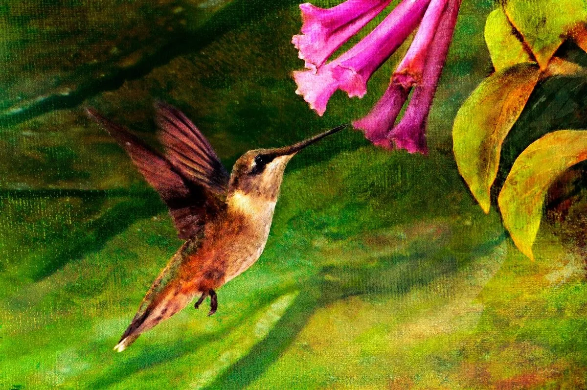 Hummingbird, œuvre de Chuck Underwood