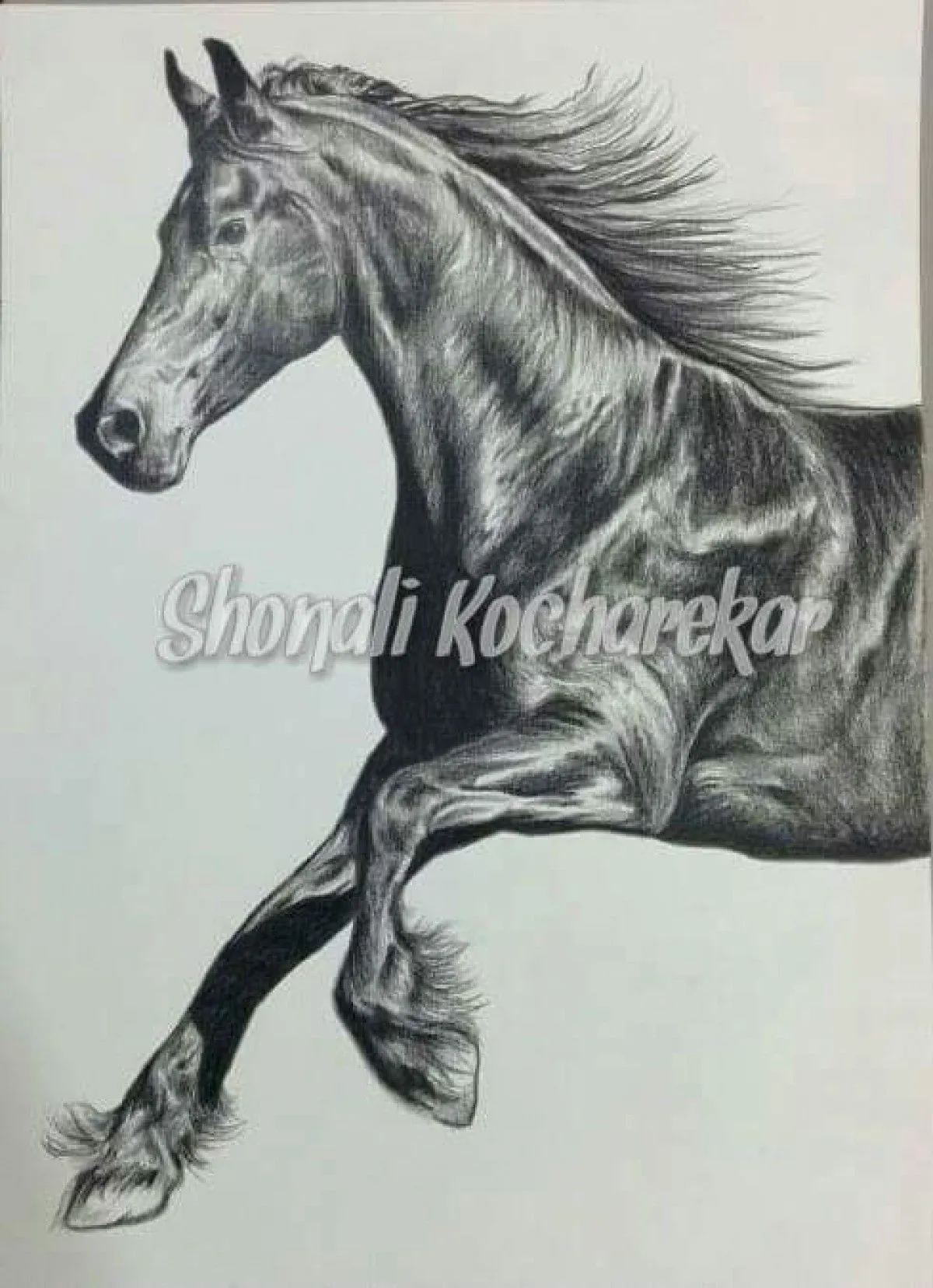 Gallop, œuvre de Shonali Kocharekar