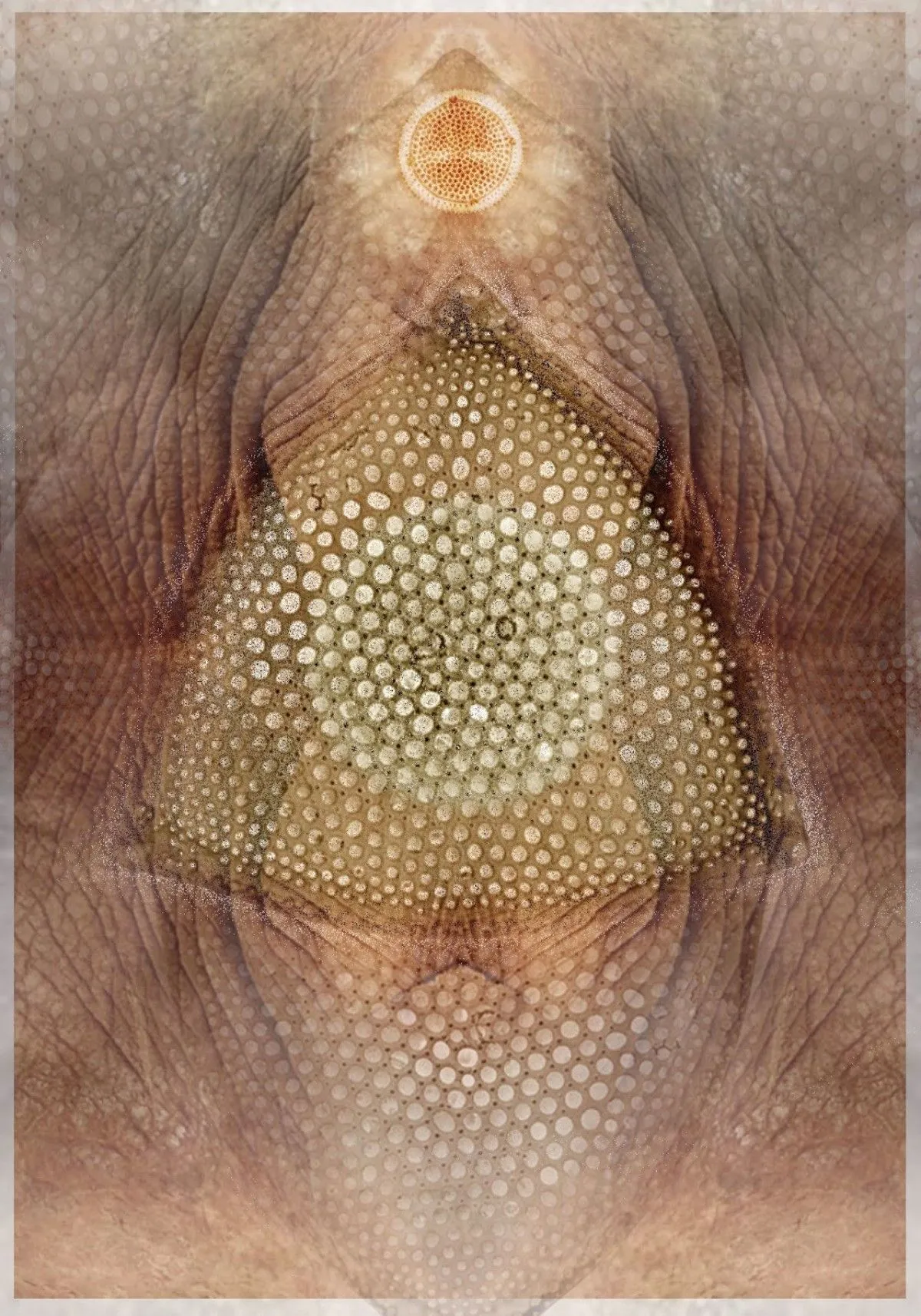 feeling, artwork by Catalin Negrea