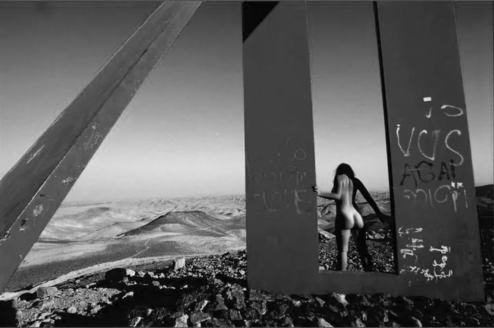Desert view, artwork by Alex Vanzetti