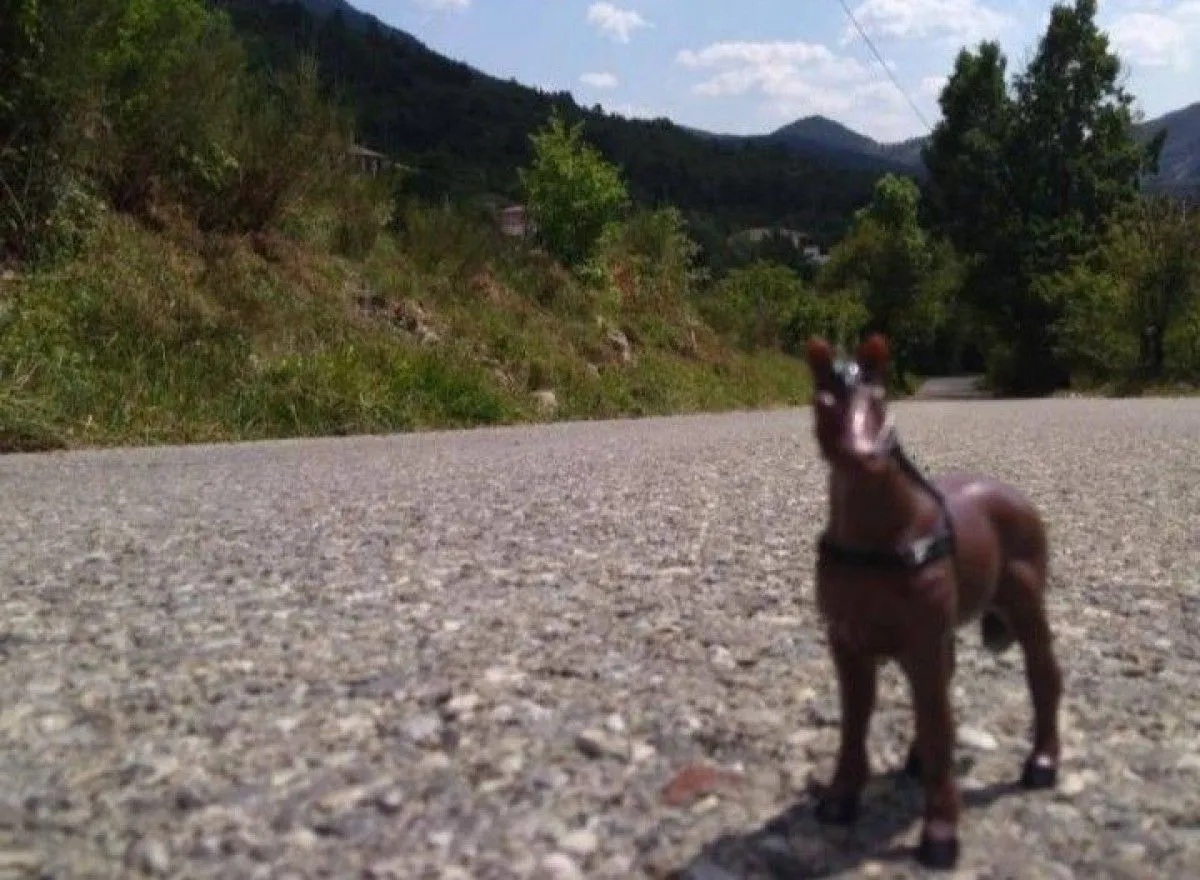 Horse ride, artwork by Rien Tdie2004