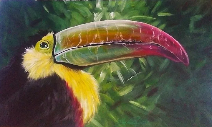 toucan of Costa Rica, œuvre de Lucie Theroux