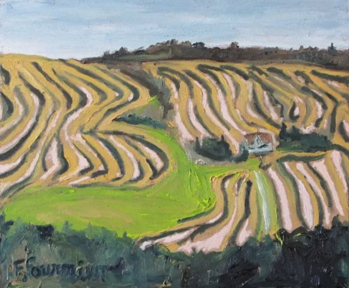 The Zigzag Field, œuvre de Francois Fournier