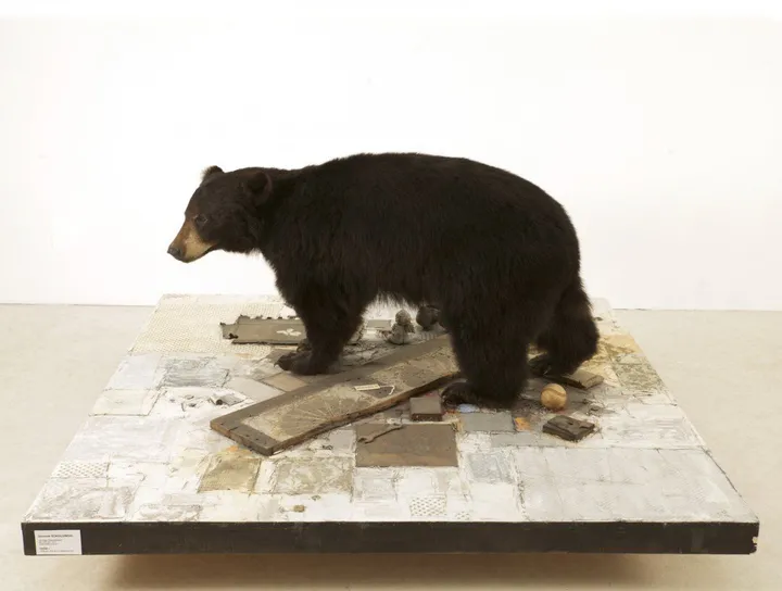 Hommage à Rauschenberg, œuvre de Dominik Sokolowski