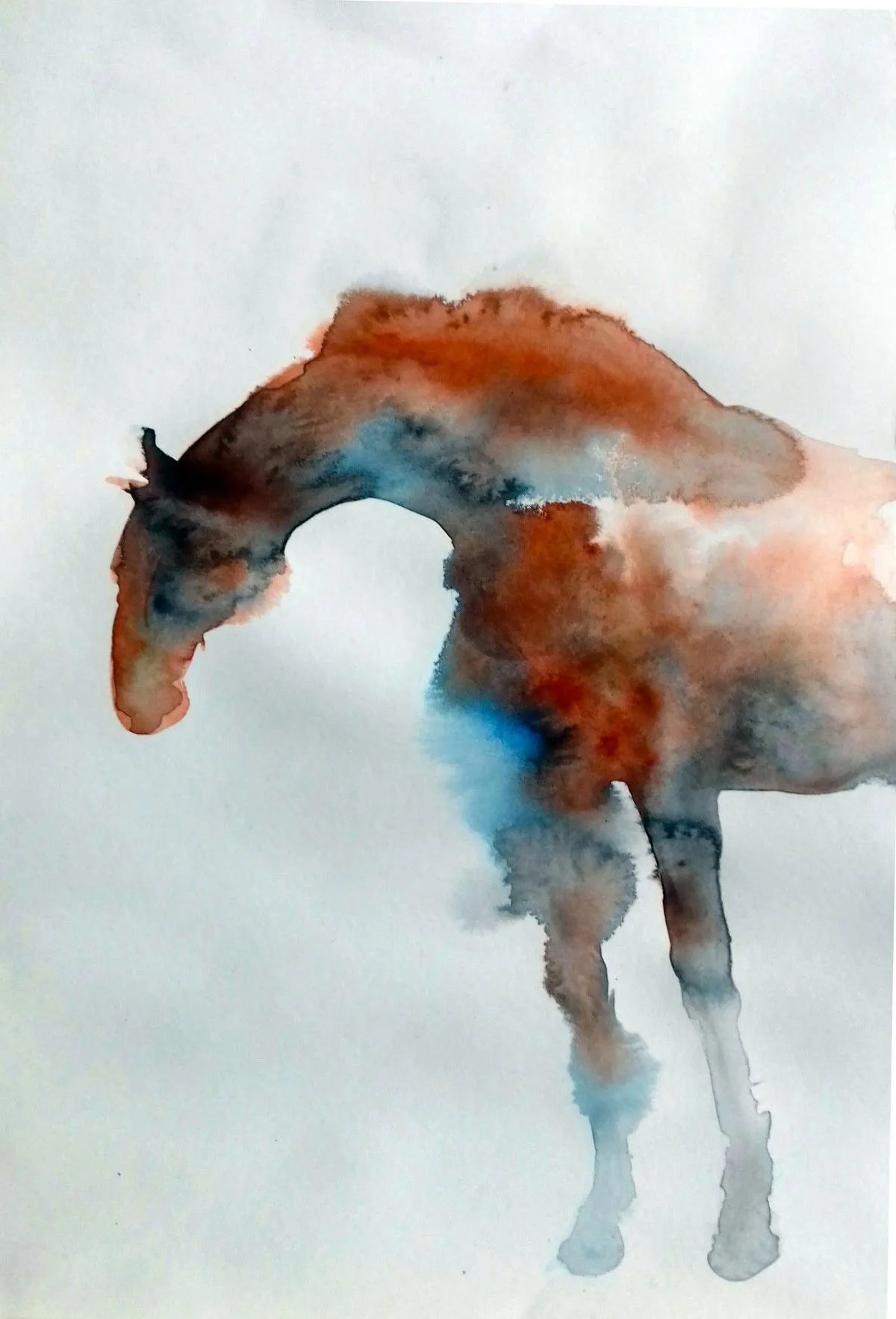 Brownie, artwork by marija colic