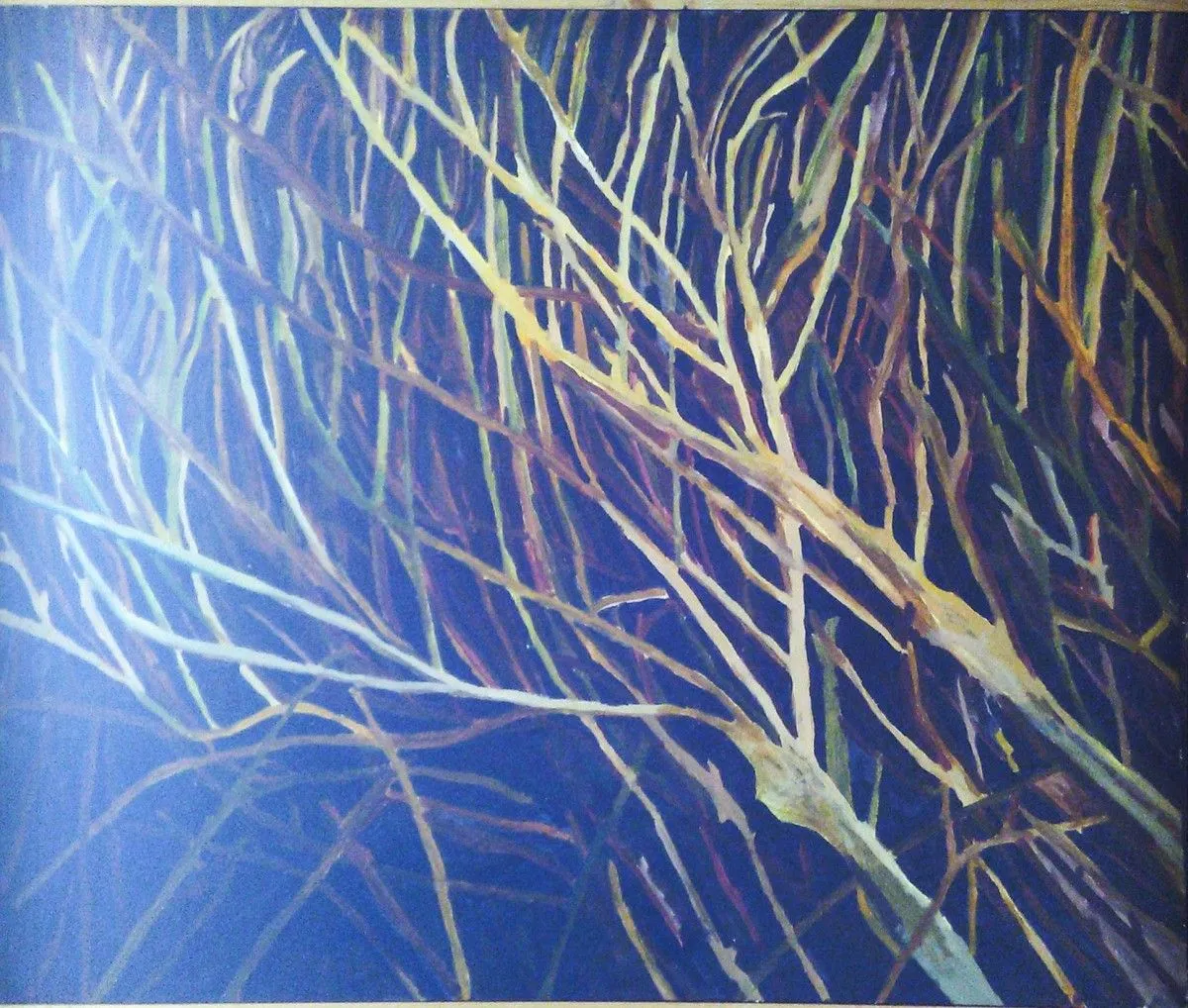 Branches at night, œuvre de jorge Rodriguez