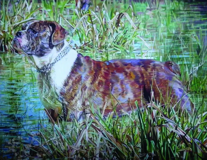 BORDOGA, artwork by Ulysses Teixeira