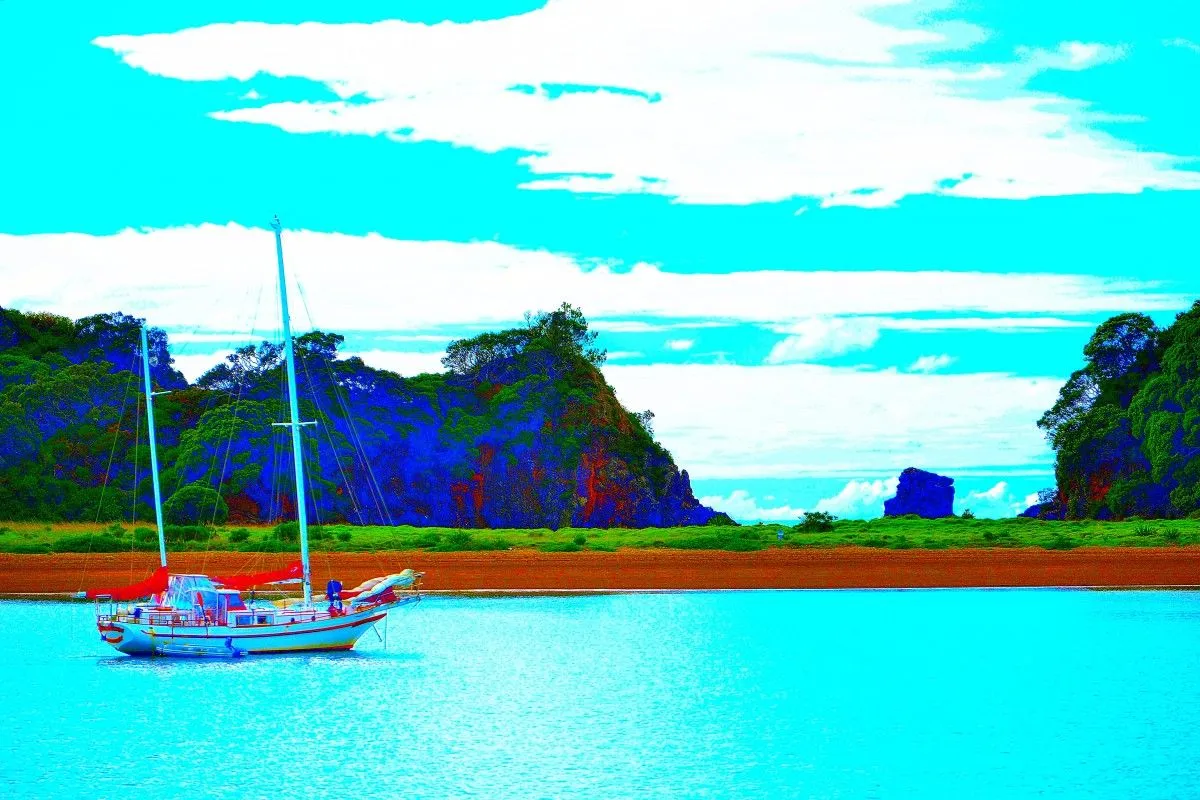 Safe Harbor, œuvre de Greg Sandoval