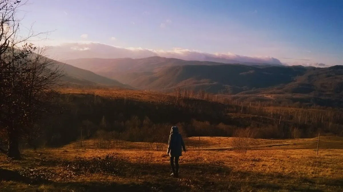 Dealuri, œuvre de Cristina Zaza