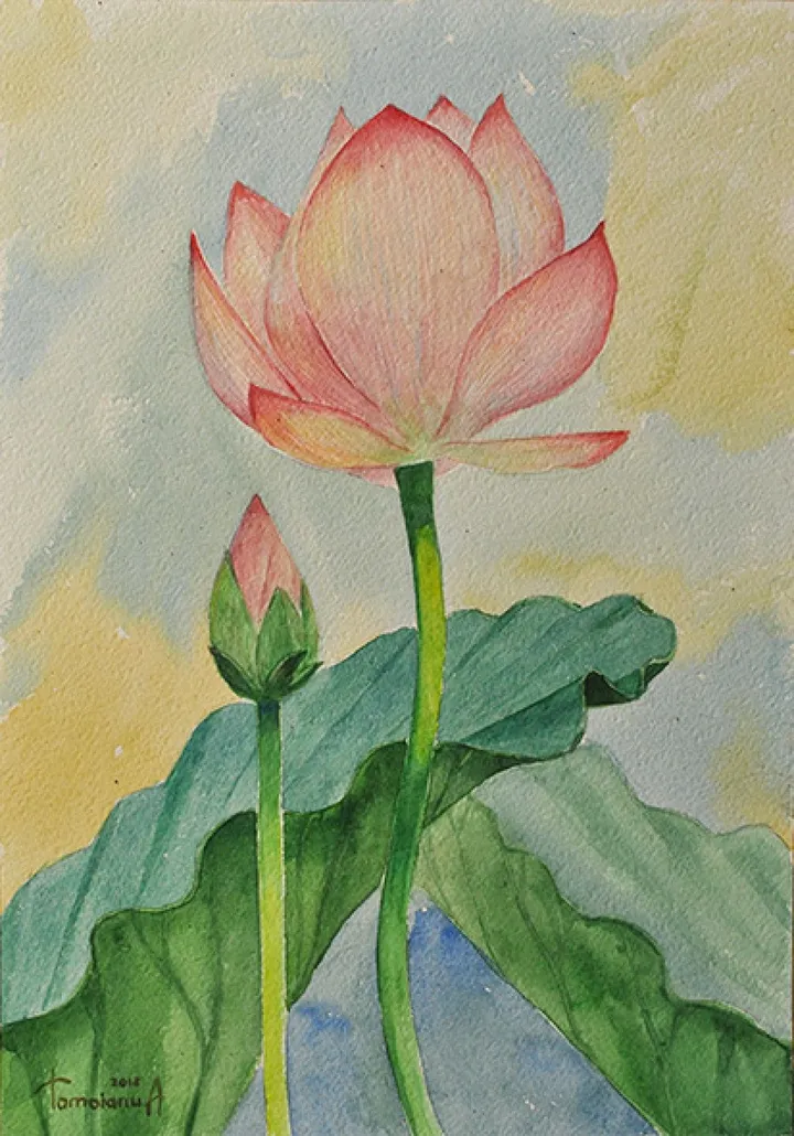 Flower lotus and bud, œuvre de Anatolii TOMOIANU