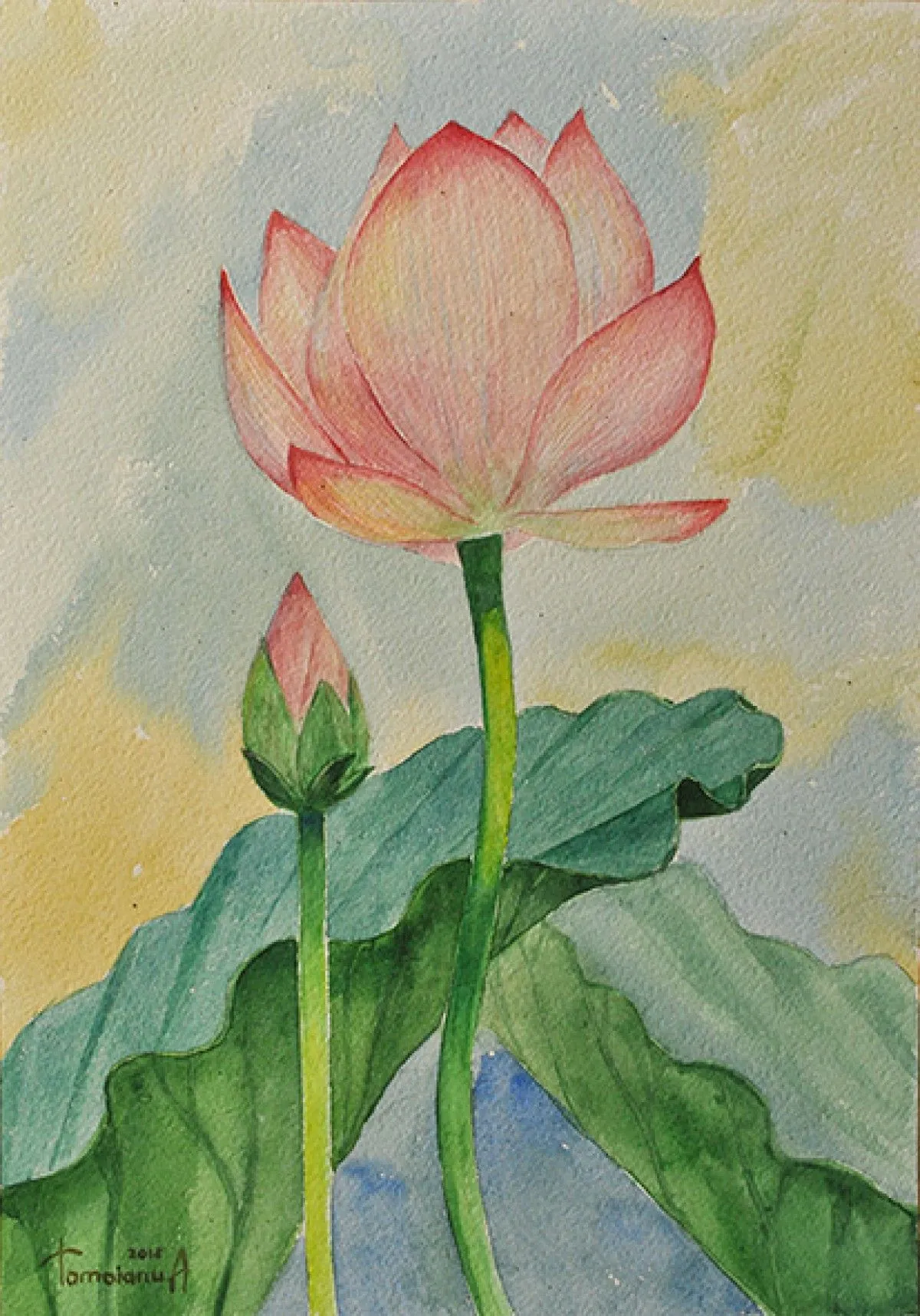 Flower lotus and bud, artwork by Anatolii TOMOIANU