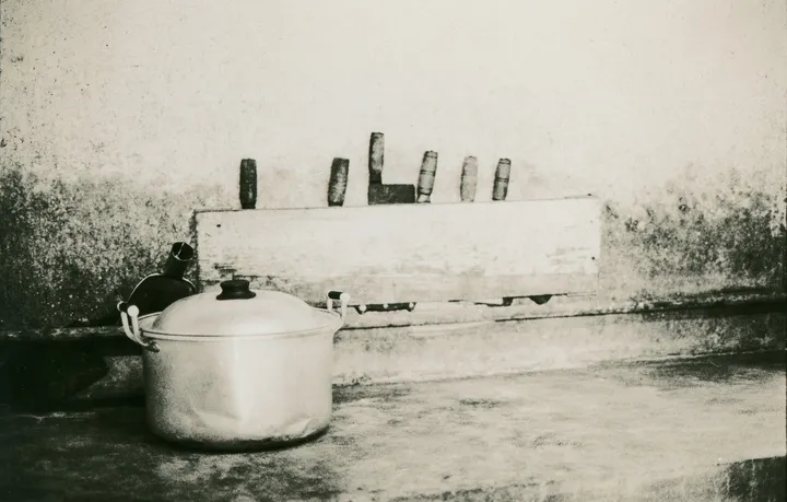 The Chinese Kitchen, œuvre de Laurent De Bonte
