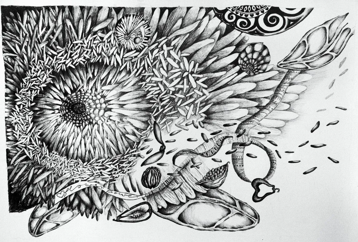 Anemone, artwork by Lyn Whittle