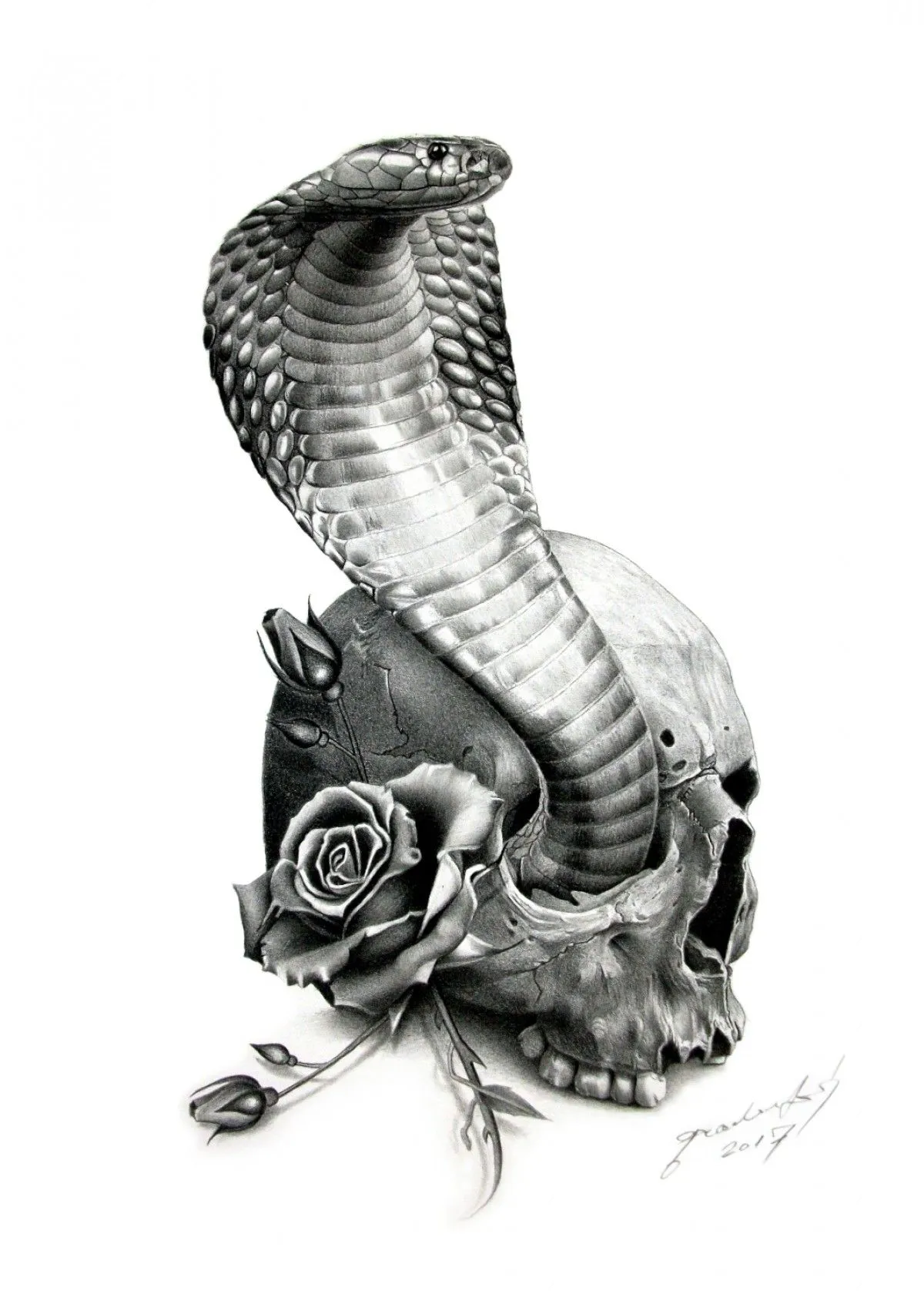 COBRA, artwork by Miro Gradinscak