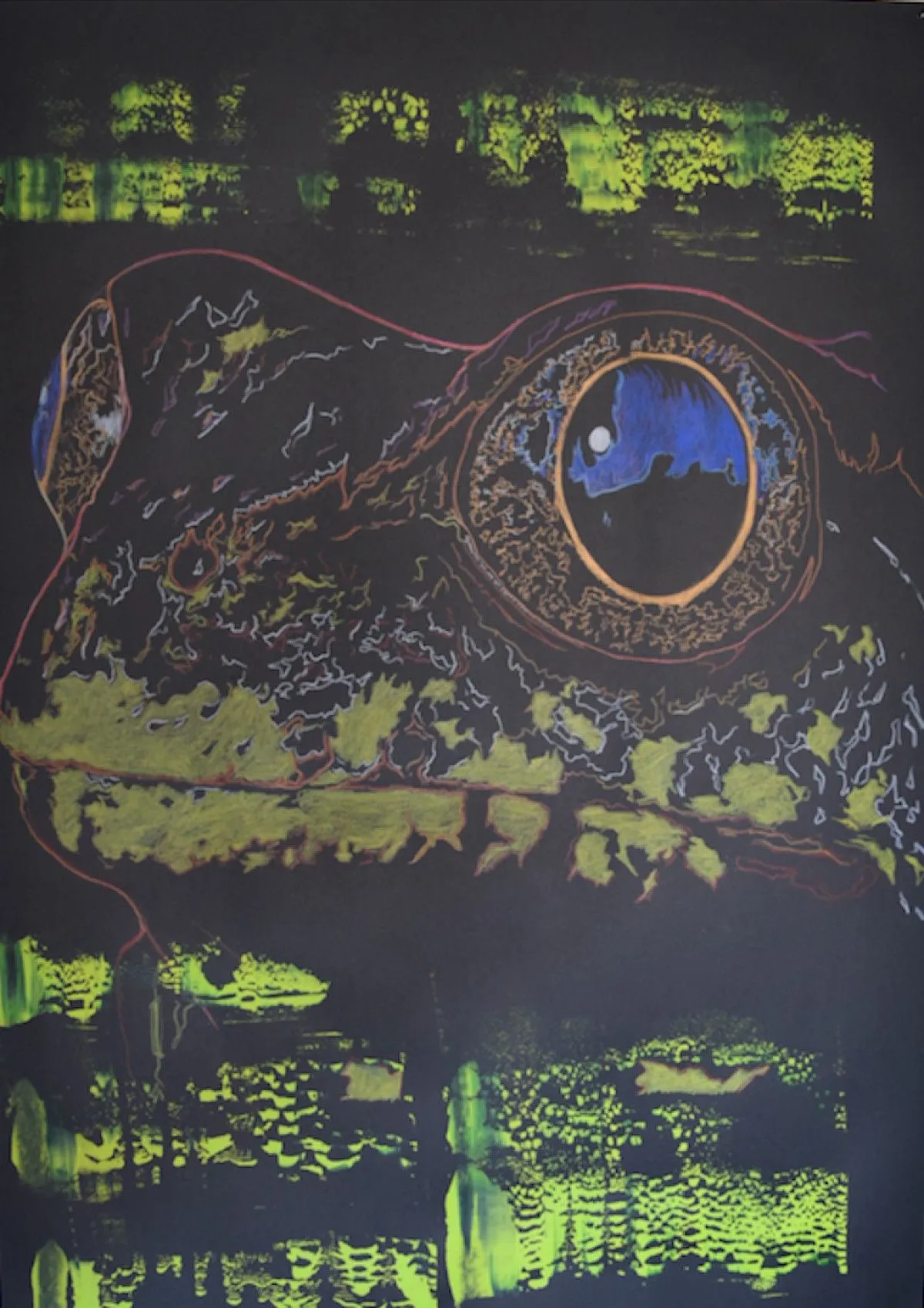 ESCUERZO, artwork by Sebasfixiarte Vélez Baena