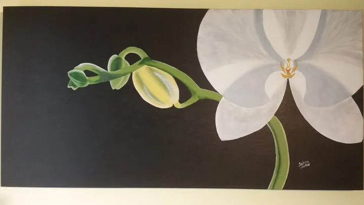 Beauté Blance, œuvre de Sabrina Lanthier