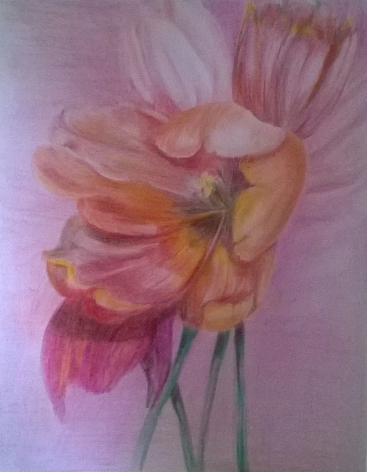 tulpe, artwork by Ina Gujien?