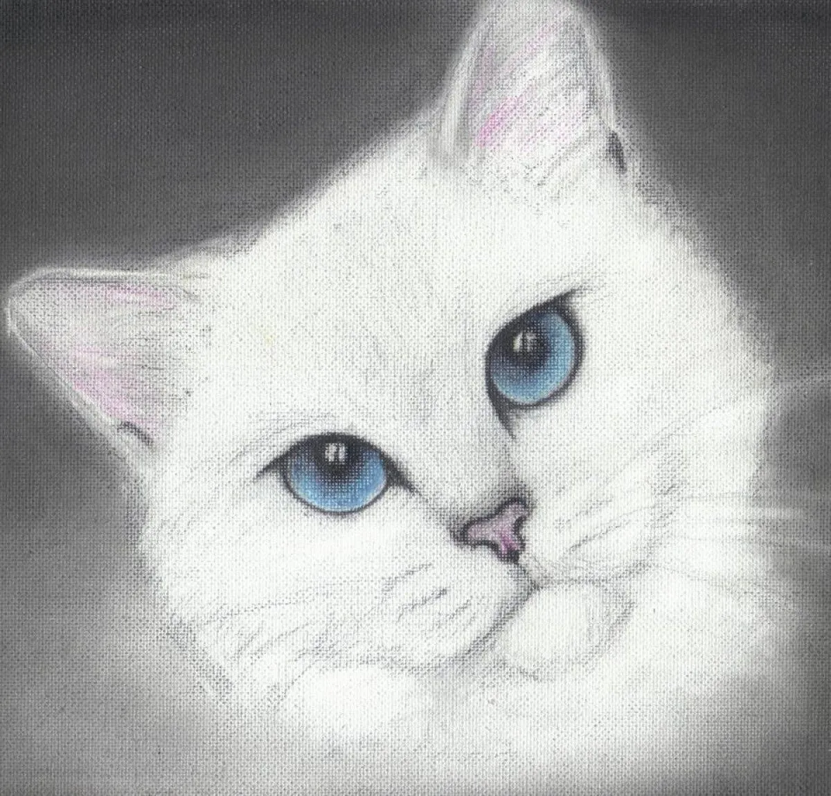 Coby the cat, œuvre de Izabela Milewska