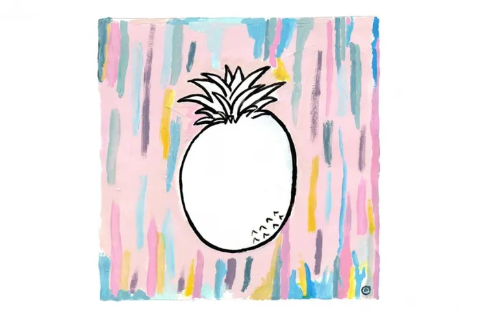 colourfull ananas, œuvre de philippe van goethem