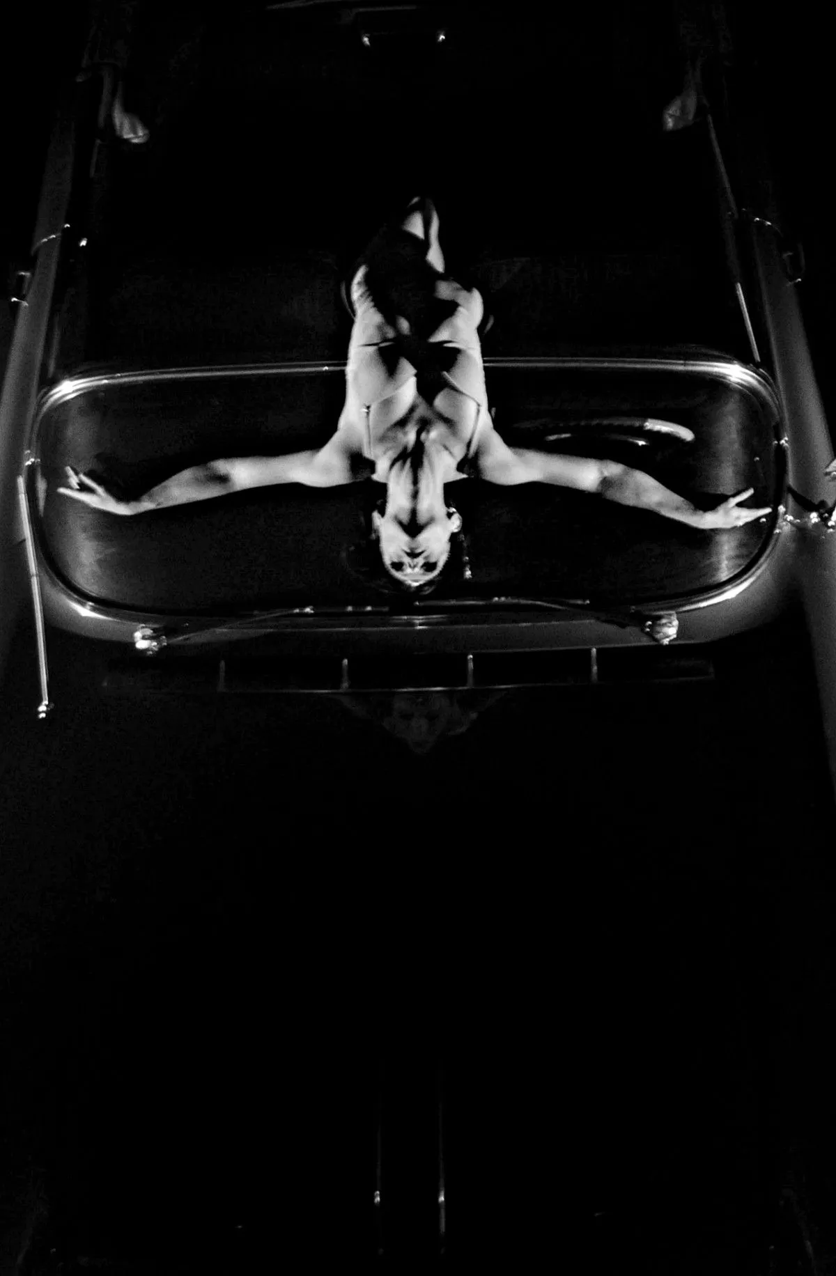 Emblème, artwork by Max Gritti