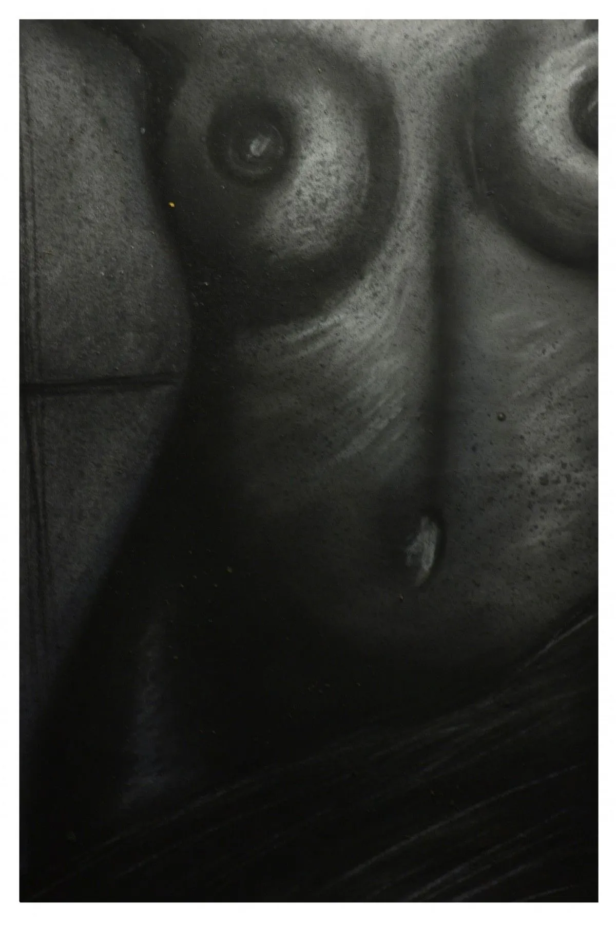 Creatures of the night, artwork by Belinda Joanne