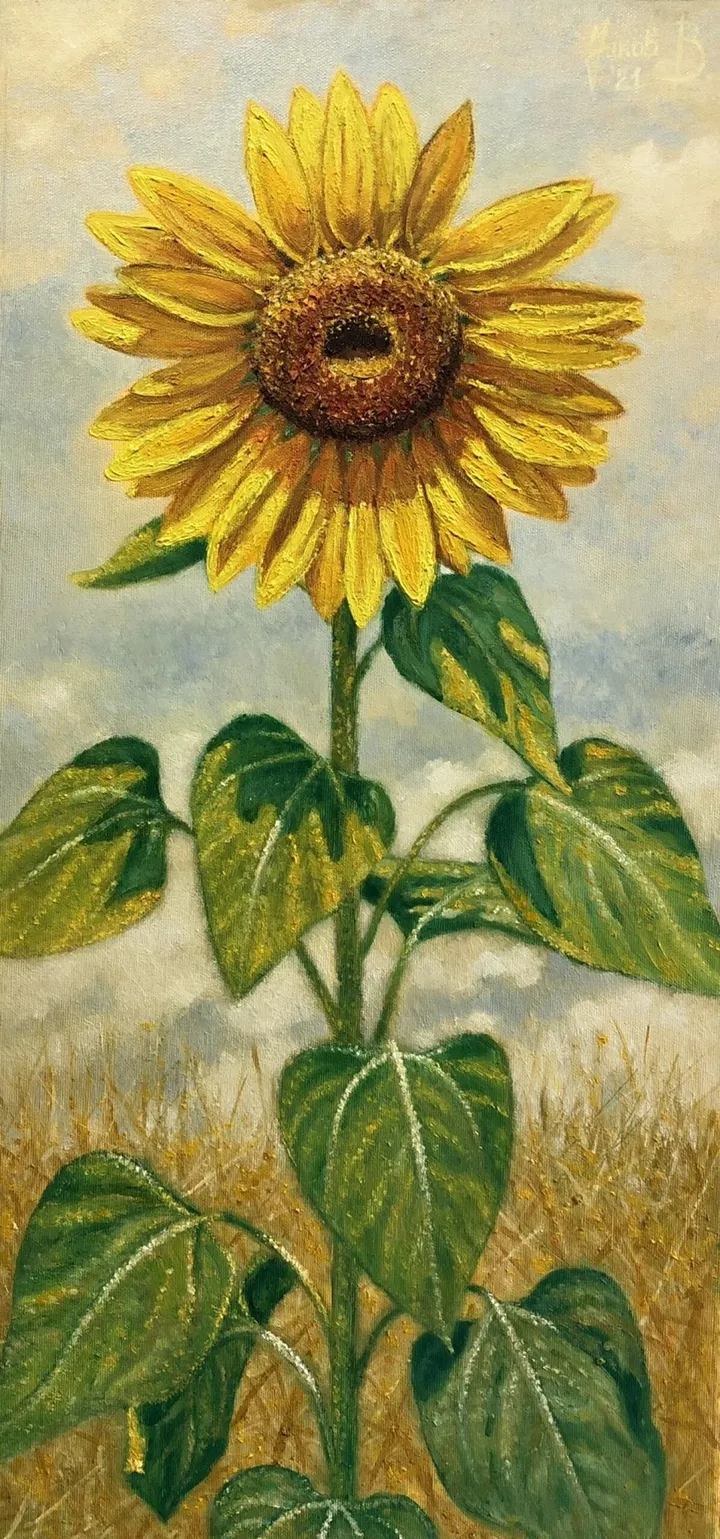 Sunny, shivering beauty, œuvre de Vanco Jakov
