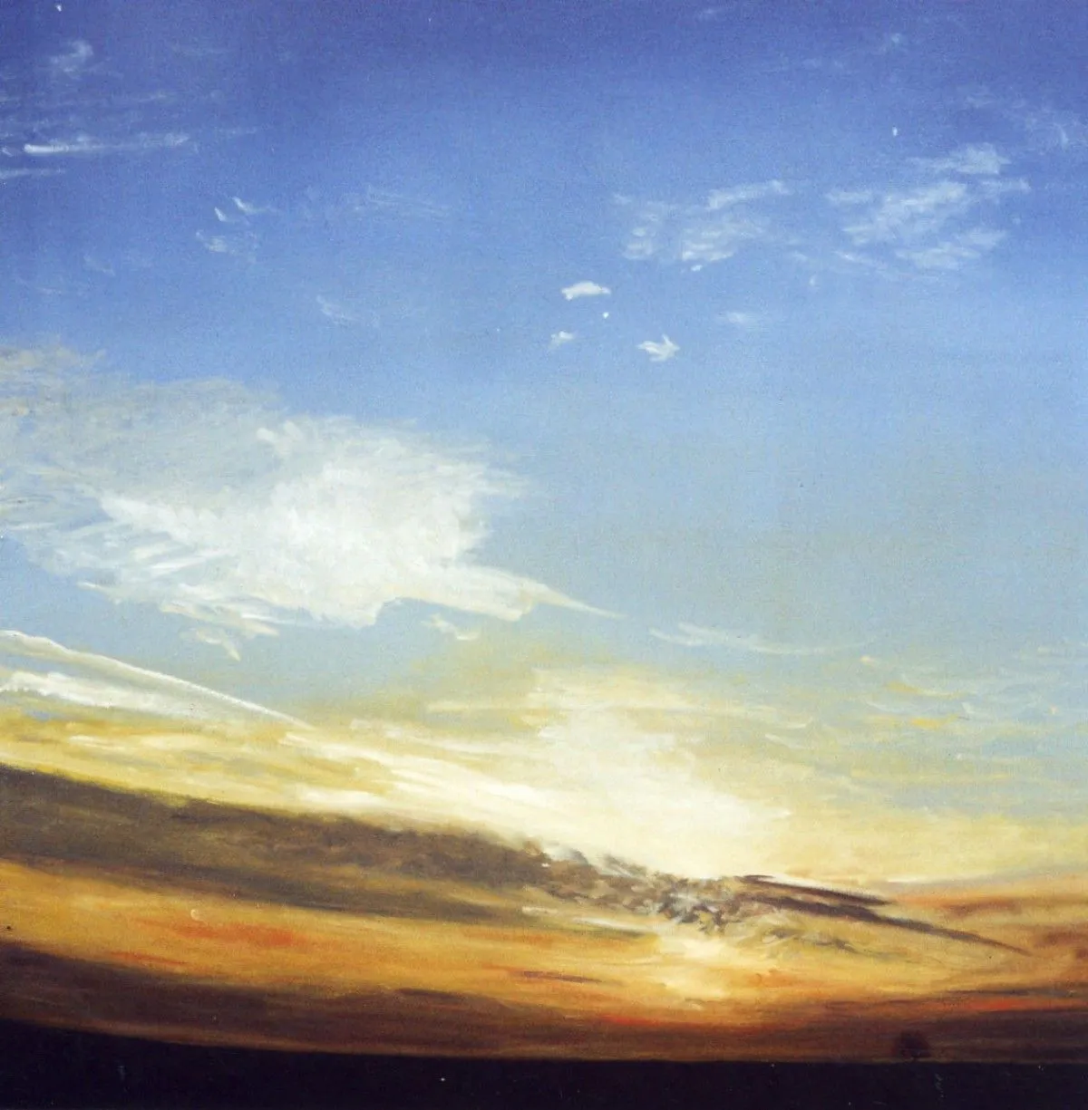 coucher de soleil sur l'arbre, œuvre de dominique bryet