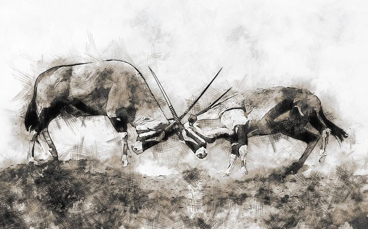 Oryx Fight, artwork by Dries Volschenk