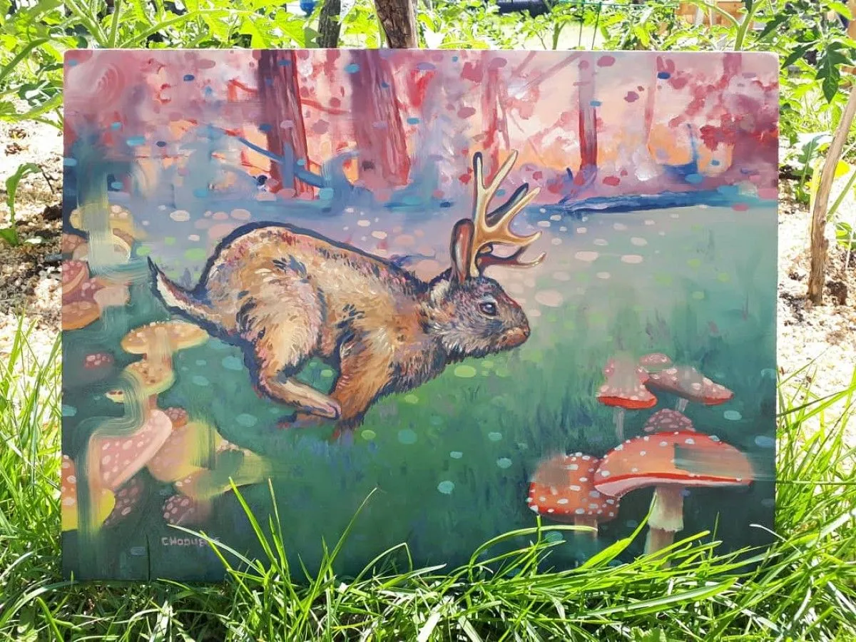 Trop plein de champis, artwork by Laurianne Choquette