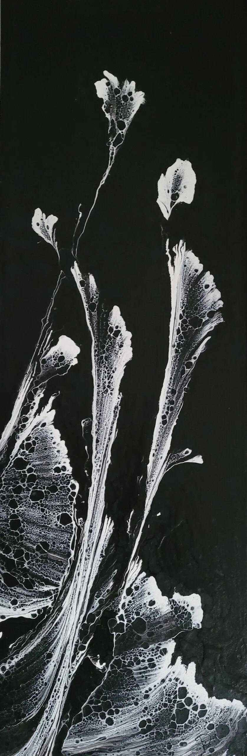 Fleur de lune, artwork by R. Devarrewaere